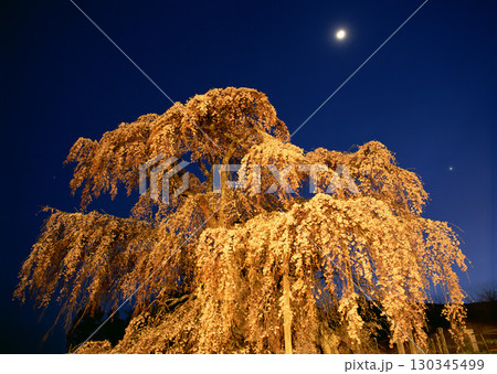 Dictionary of Materials Vol.122 Four Seasons. Scenery of Japan. High quality photo 130345499