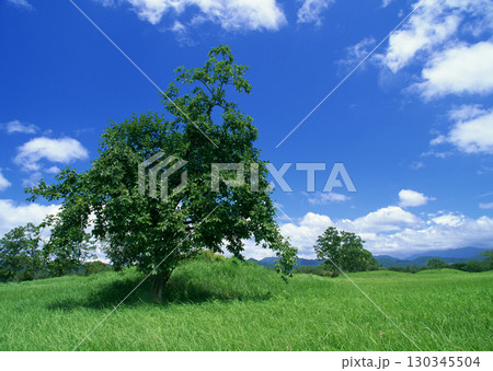 Dictionary of Materials Vol.122 Four Seasons. Scenery of Japan. High quality photo 130345504