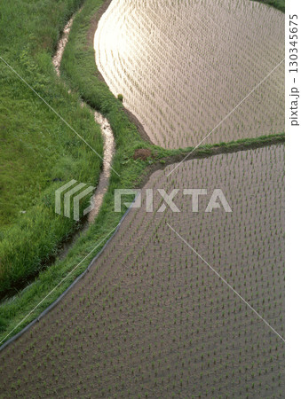 Field with green view. open space, outdoor. High quality photo Field with green view. open space, outdoor. High quality photo 130345675