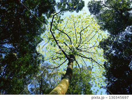 Dictionary of Materials Vol.122 Four Seasons, Scenery of Japan. High quality photo 130345697