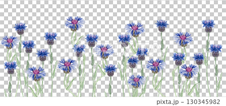 Blooming knapweed flowers in vivid blue and purple shades. Seamless watercolor border isolated on white background, perfect for botanical patterns, invitations, packaging, and rustic summer designs 130345982