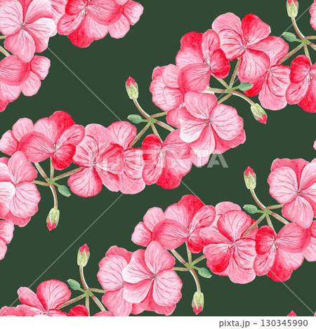 Pink geranium flowers and buds waves seamless...のイラスト素材 [130345990] - PIXTA
