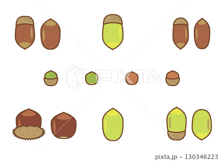 シンプルな茶色と緑のどんぐりのアソート 130346223