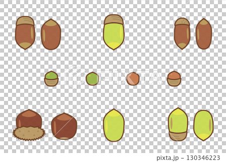 シンプルな茶色と緑のどんぐりのアソート 130346223