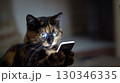 メガネをかけてスマートフォンを使っている猫 130346335