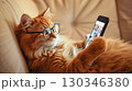 メガネをかけてスマートフォンを使っている猫 130346380