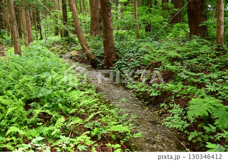 湧き水が豊富な花巻の水分神社 130346412