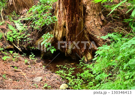 湧き水が豊富な花巻の水分神社 130346413