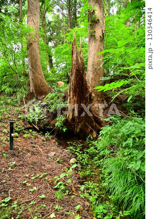湧き水が豊富な花巻の水分神社 130346414