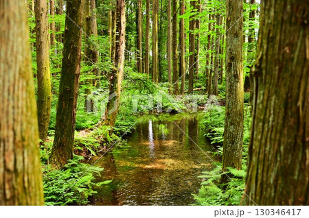湧き水が豊富な花巻の水分神社 130346417