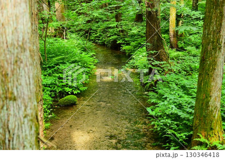 湧き水が豊富な花巻の水分神社 130346418