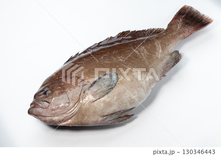 トビハタ 130346443