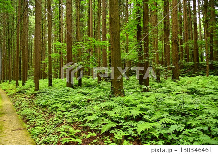 湧き水が豊富な花巻の水分神社周辺の風景 湧き水が豊富な花巻の水分神社周辺の風景 130346461