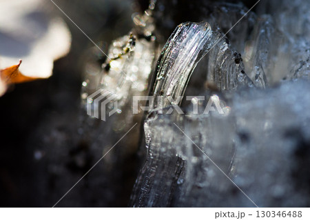 冬の寒い朝の霜柱 130346488