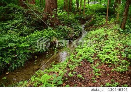 湧き水が豊富な花巻の水分神社 130346595