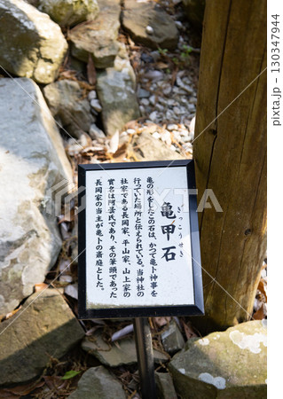 対馬 和多都美神社 亀甲石の説明が書かれた看板 対馬 和多都美神社 亀甲石の説明が書かれた看板 130347944