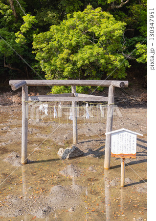 対馬　和多都美神社　磯良恵比須と三柱鳥居 130347951