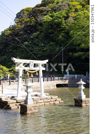 対馬　和多都美神社　海に立つ鳥居 130347961