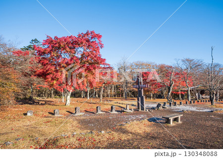 旧碓氷峠見晴台（秋） 130348088