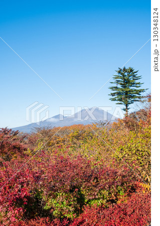 旧碓氷峠見晴台（秋）：浅間山を望む 130348124