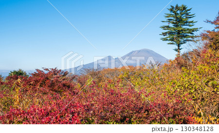 旧碓氷峠見晴台(秋):浅間山を望む 旧碓氷峠見晴台(秋):浅間山を望む 130348128