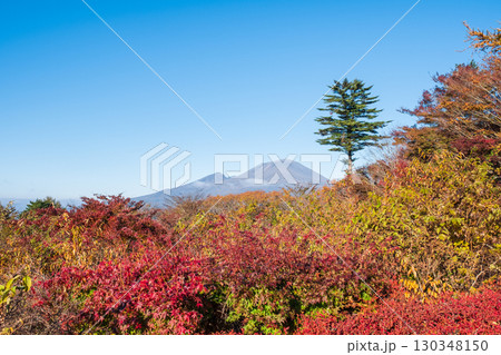 旧碓氷峠見晴台（秋）：浅間山を望む 130348150