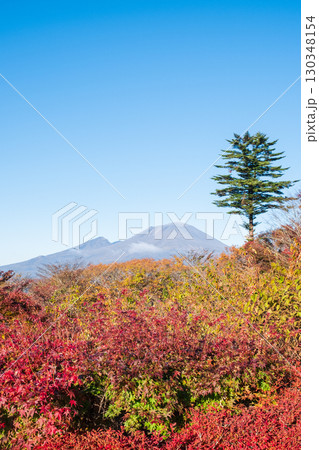 旧碓氷峠見晴台(秋):浅間山を望む 旧碓氷峠見晴台(秋):浅間山を望む 130348154