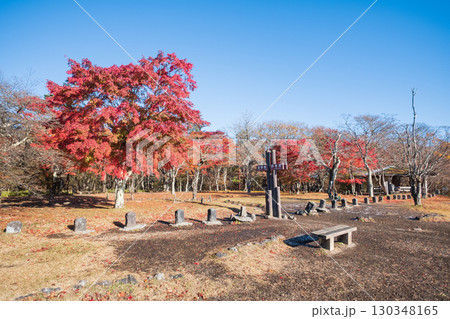 旧碓氷峠見晴台（秋） 130348165