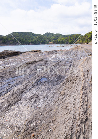 対馬　網代の漣痕 130348349