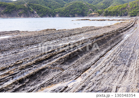 対馬　網代の漣痕 130348354