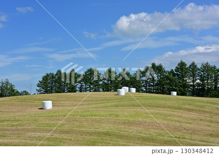 ロールベールラップサイロ ロールベールラップサイロ 130348412