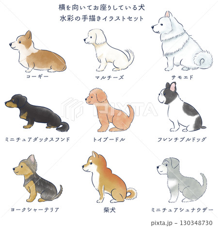 横を向いてお座りしている犬の水彩の手描きイラストセット 130348730