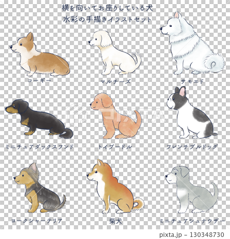 横を向いてお座りしている犬の水彩の手描きイラストセット 130348730