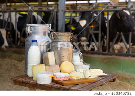 Fresh dairy products on table on background of cows in stall 130349782