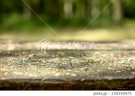 Close-up of a weathered wooden surface with moss in a blurred forest background. 130350475