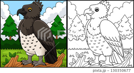 Bird Martial Eagle Coloring Page Illustration  130350677