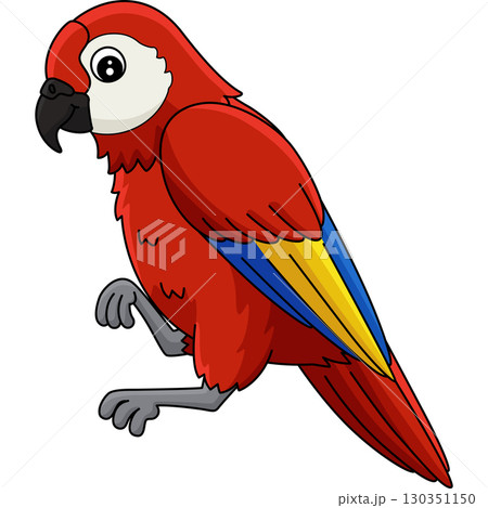 Bird Amazon Parrot Animal Cartoon Colored Clipart  130351150