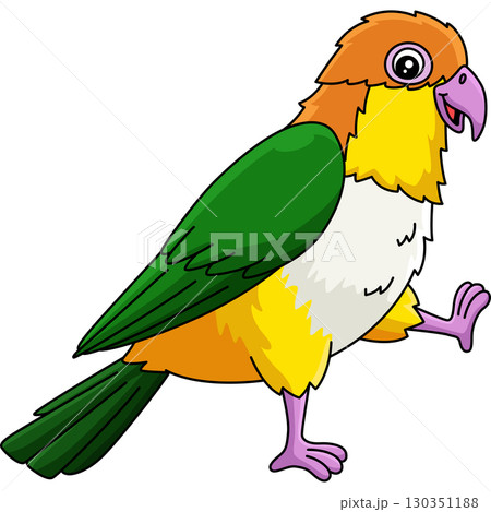 Bird Caique Animal Cartoon Colored Clipart  130351188