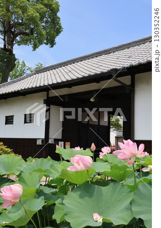 埼玉県鴻巣市の花久の里の風景 埼玉県鴻巣市の花久の里の風景 130352246