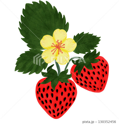 Fruit Fruit 130352456