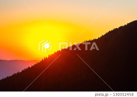 Vibrant sunrise over mountainous landscape with silhouette of pine trees in the foreground 130352458