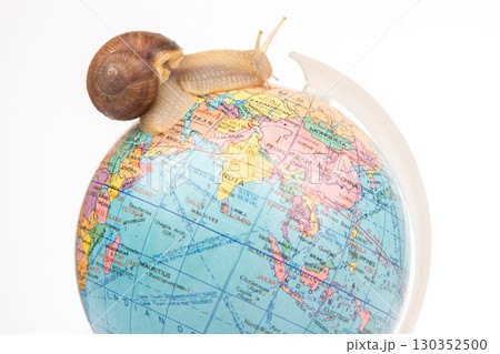 Snail explores a colorful globe with continents and oceans during a sunny day Snail explores a colorful globe with continents and oceans during a sunny day 130352500
