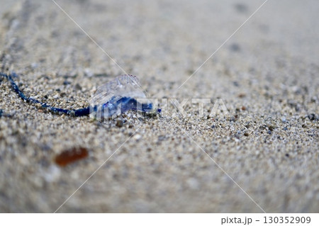 猛毒触手 130352909