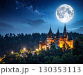 美しいお城 130353113
