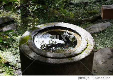 京都の寺院の庭園の蹲 130353262