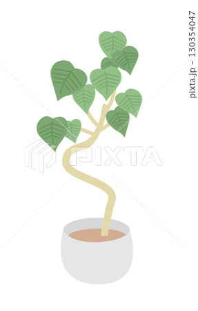 観葉植物 130354047