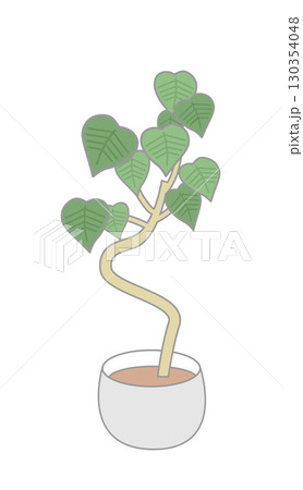 観葉植物 観葉植物 130354048