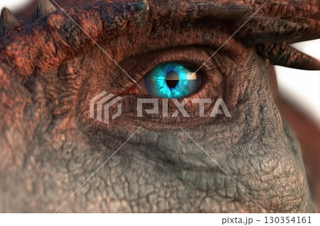 Dragon close up 130354161