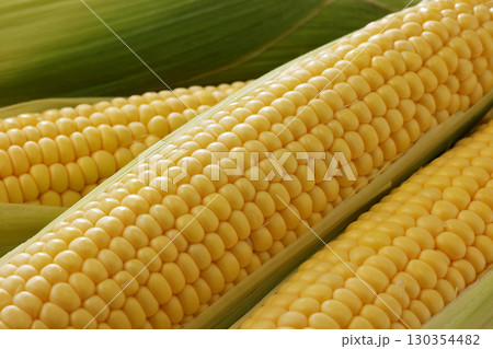 新鮮で甘いとうもろこし 新鮮で甘いとうもろこし 130354482