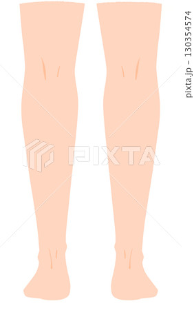 真後ろから見た両脚 130354574
